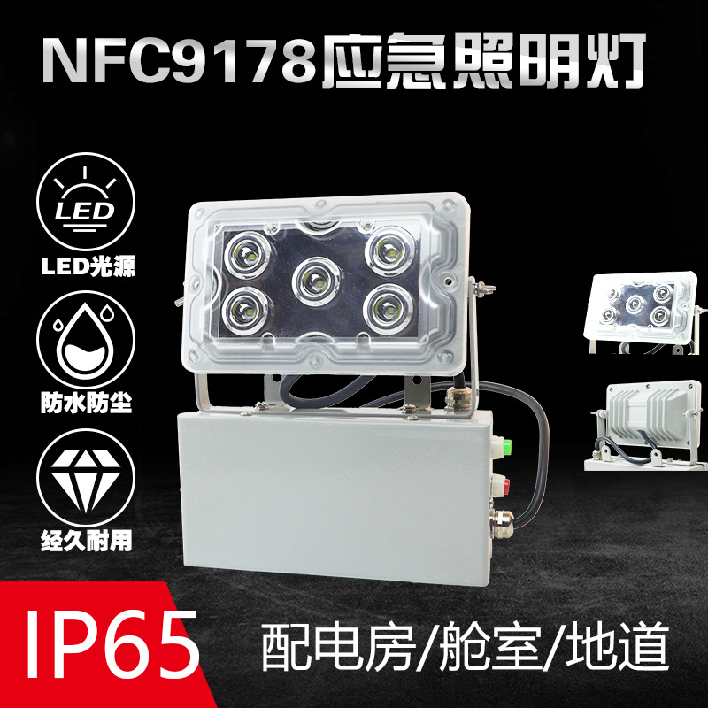 NFC9178固态应急照明灯 15W节能低顶灯 LED配电房走廊应急灯防水