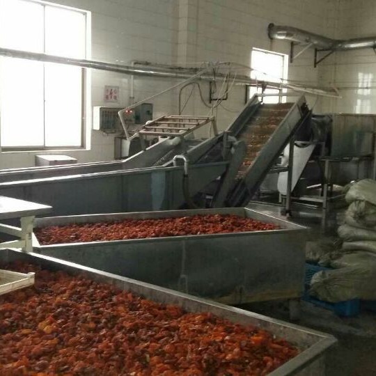 专业供应自动果脯清洗浸泡预煮线 复合式多功能清洗线水果清洗机