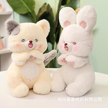 �¿����ք���ϵ�й����P������؈������ë�q��ż���������l�ɐ�