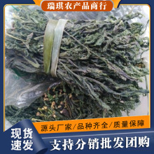 干香椿芽干货农家自晒头茬新鲜香春芽湖北襄阳特产野生香椿菜250g