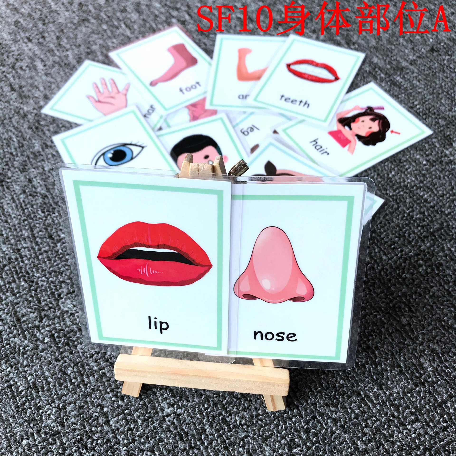 SF10 12 신체부위A