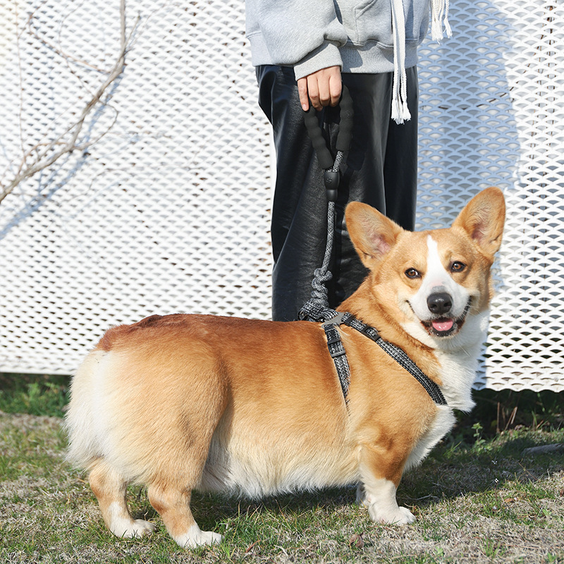 O1CN01oy9gne2IOSeMykorq_!!9731