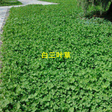 ���~�ݲ�ƺ���Ѽt���~�����~�ݷN�����ͺ��ļ��������݃��Ѷ�����