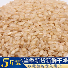 �|����������5�� ���������r���s�Z�����������s�Z�Ԯa�ּZ��