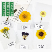 �ɻ����� ֲ��˱������^�� ���~�����ܷ� С�W���J�R��Ȼ ���˺�