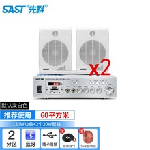 先科（SAST） 壁挂音响大功率音箱组合壁挂式挂墙套装店铺用室内