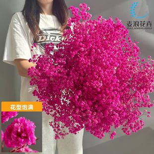 �����M���Ǹɻ���Ϧ�����Ҿ������Շ��Y���c�S�����l�������滨