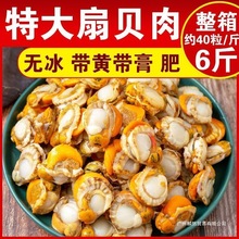 特大扇贝肉带黄带膏扇贝肉全贝肉整箱批发现剥扇新鲜速冻鲍鱼散装