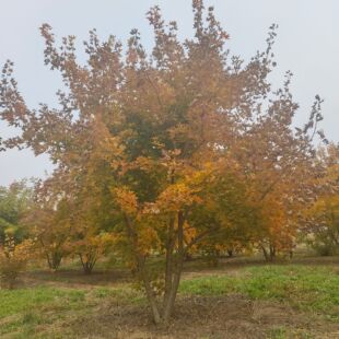 ����Ԫ����   ������~  ���~�� �G����  ���̈@��4-7�׸�