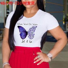 宽松短袖T恤时尚紫色蝴蝶印花短袖一件铺货女装女式T恤