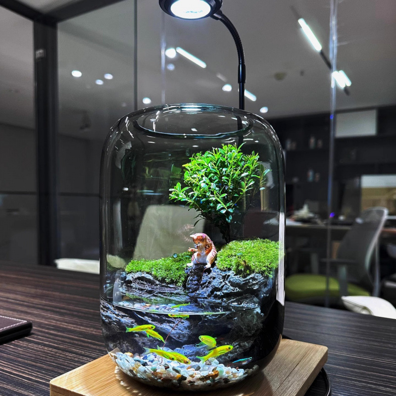 生态瓶微景观鱼小型小鱼缸桌面造景观赏鱼虾diy创意生态鱼缸|undefined