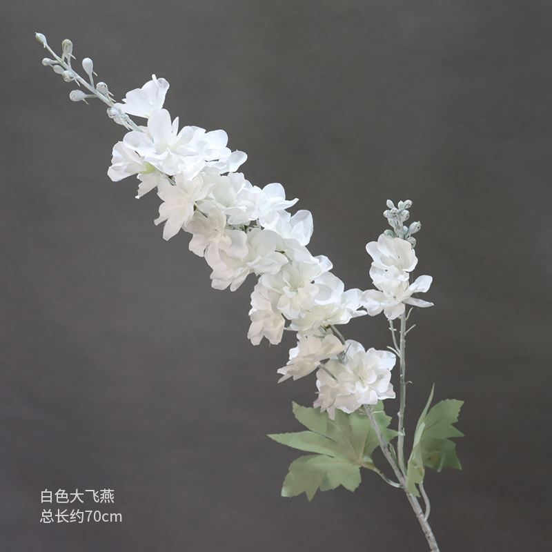 흰색 라지 델피늄
