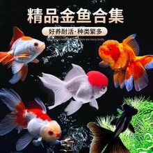 ���~���~�^�p�~���wС���~��ˮ�~���B�ͻ���~����w��ˮ�~�����~