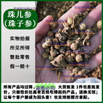 野生珠儿参七枝灵珠子参中药材扣子七钮纽子七张志至顺疙瘩七250g
