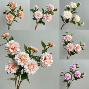��Ʒ�|���滨�ָб�������� �������Ӵ����� �Ҿ��b����߼���