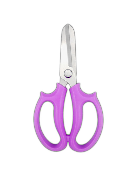 Scissors stainless steel