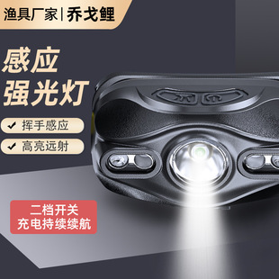 Induction headlight outdoor mini led night fishing miner lamp portable head-mounted flashlight rechargeable strong light headlight
