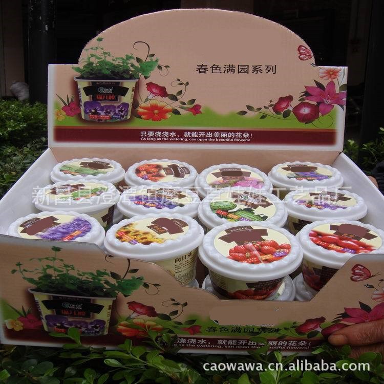 ������ä�����ﻨ�㴺ɫ��԰ �칫��С���� С�ű������ݴ�������