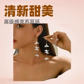 项链;手链;耳环