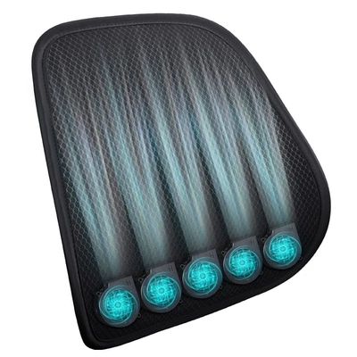 Lumbar Support Pad for Long Sitting — Waist support