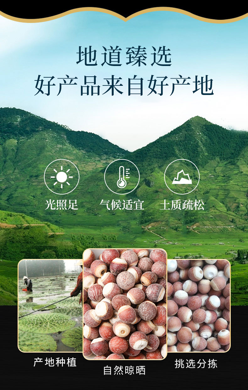 Qian Shi (Euryale ferox) — Dried Fox Nut Seeds & Slices, Food-Herb for Soup & Congee overview