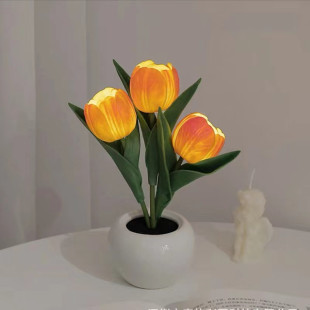 ���R�d�羹520��Ϧ�Y���¿�led������ҹ���Ҿ����Ҵ��^̨���Շ���