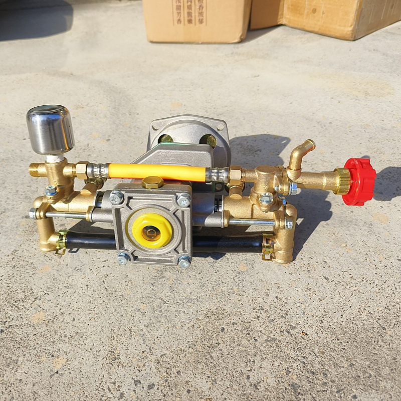 IMG_20240115_135827_副本