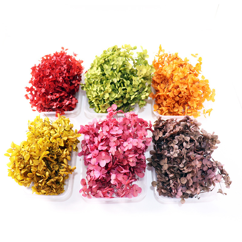 5 grams of 100 grams of Class B Anna Hydrangea Clear Goods Broken Color Broken Code Micro Defects Eternal Flower Wood Hydrangea Preserved Flowers