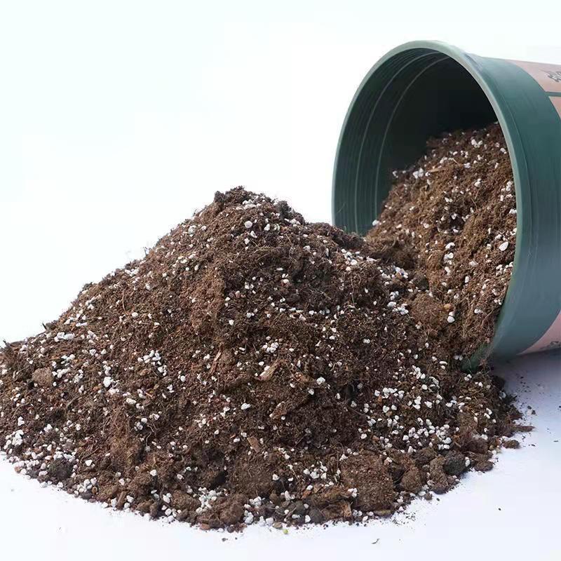 d571982e-e988-48f0-be0b-81e3c14a860b.jpe