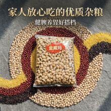 ���������۴�ü�������������� ����s�Z�ˌ������ϏS