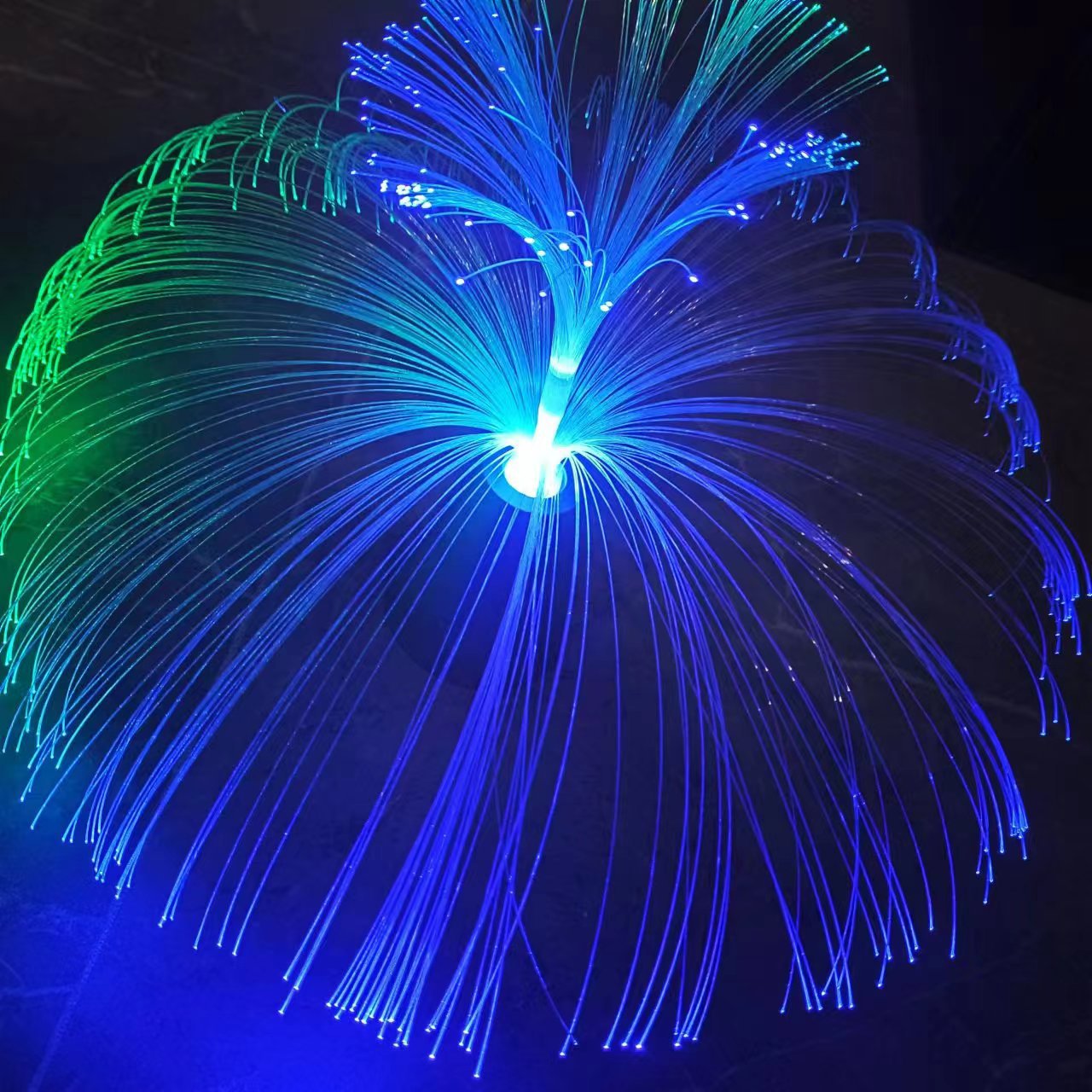 광치안 이중 해파리 [RGB]]