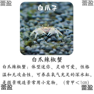 ��������з�^�pзˮ�����lС�з����з�ľ�з�[�����