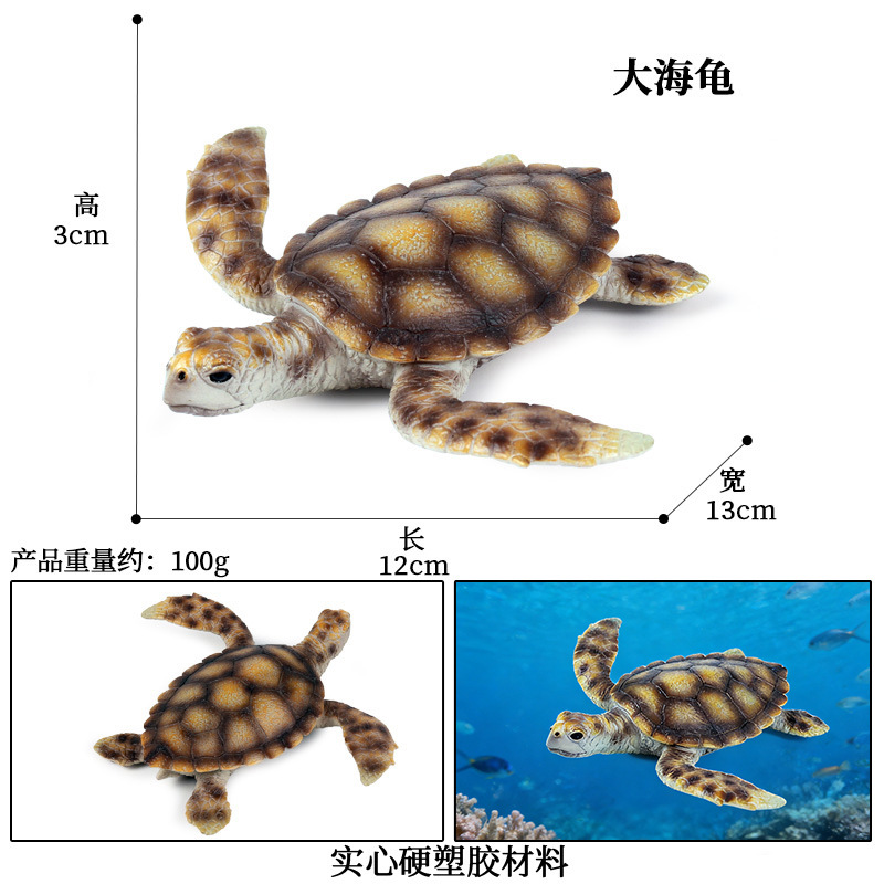 Tortuga grande M6015