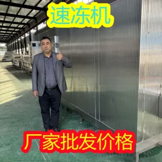 速冻机恒温锁鲜  连续式冷冻设备  调理品生产线