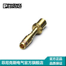 �����˹ ѹ�Ӳ��� - SF-7QS2000 - 1605643