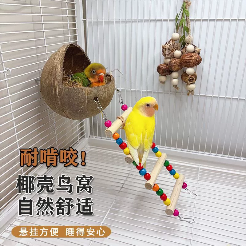 Летнее спальное гнездо для попугая, подвесной деревянный домик из кожи тигра с жемчугом для разведения, защита от грызения, подходит для всех сезонов, скорлупа кокоса.
