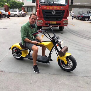 X5X6 Harley Electric Scooter with Wide Tires, Electric Motorcycle, Two-Wheeled Electric Vehicle, Two-Wheeled Power-Assisted Vehicle