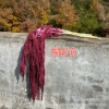 5 red wine