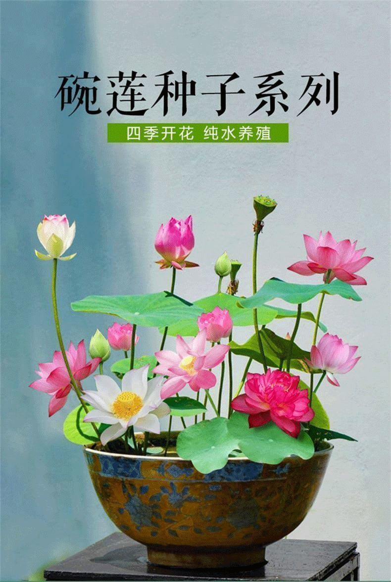 44dbf553-6e8c-49db-b829-e5cb97888916.jpe