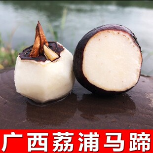 �V�������R���ݩ�j���R����Ƭ�r�ҕ�ɸ��������é��ˮ�Ҝ�����