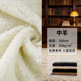 现货供应 中厚羊羔绒 450克秋冬涤纶羊羔毛外套毛绒里布面料批发