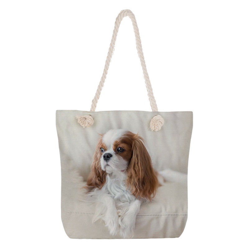 Factory Direct batch environmental protection practical shopping bag can be printed women's bag large capacity thick rope tote bag