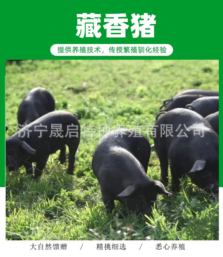 1_副本.jpg
