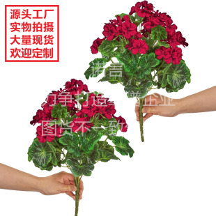 �羳���R�d����9�^�����������ÿ����溣�Ļ��ٻ����ÿ��z���廨