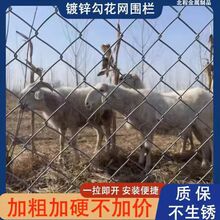 ����䓽z�W����\�W�W���ڷ��Pţ����o�W�����B�u�Ӵ��Bֳ�W��\