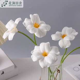 ���滨 ������ PU�ָПo�~�󻨷���Ҿ�ܛ�b���̱��W��c�����ٻ�