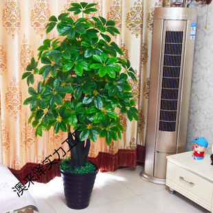 �lؔ����X�����ԾGֲ�͏d�b�����ؾGֲ�����辰ֱ�N