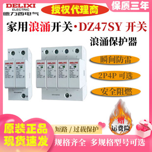 Delixi surge protector DZ47SY lightning protection surge switch 2p household 4p lightning arrester 20KA 40KA