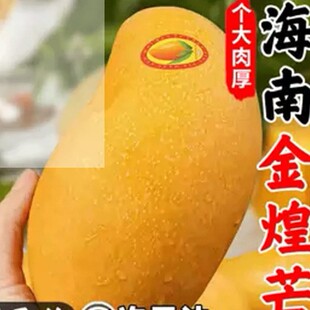 ���Ͻ��â��10��һ��â������ˮ�������Fժ���r�������SƤâ���]