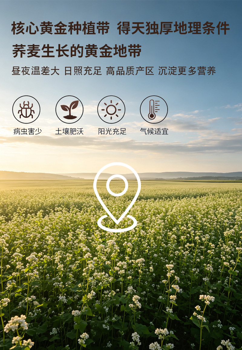 Puffed Buckwheat Flakes Qiaomai Pian Instant Whole Grain Breakfast Cereal Plain Flavor Bulk 25kg preparation